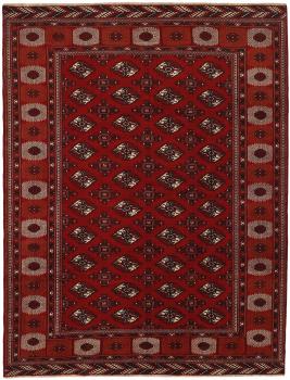 Turkaman 334x254
