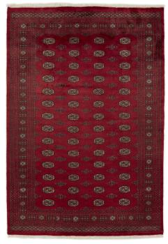 Pakistański Buchara 3ply 289x199