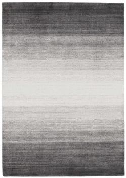 Shining Horizon 241x171