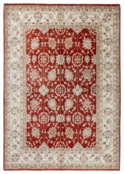 Ziegler Farahan Arijana 244x171