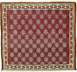 Shiraz 61x65