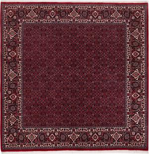 Bidjar 204x206