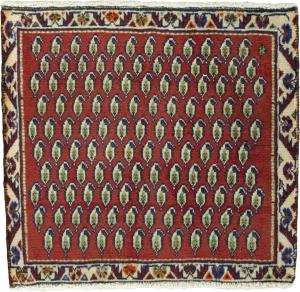 Shiraz 55x61