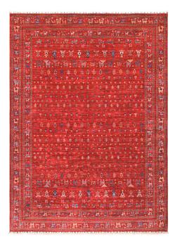 Arijana Shaal 345x251