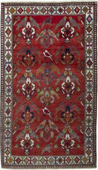 Shiraz 242x141