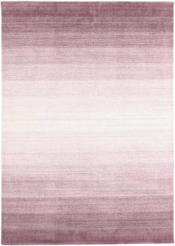 Shining Horizon 239x171