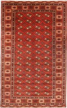 Turkaman 388x240