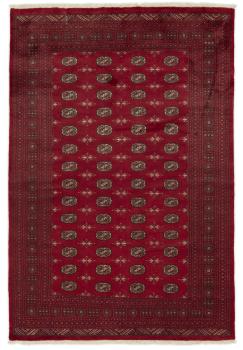 Pakistański Buchara 3ply 298x201
