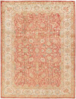 Ziegler Farahan 233x176