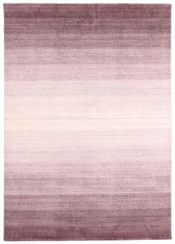 Shining Horizon 351x249