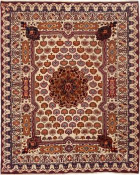 Pakistan 172x137