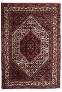 Indo Bidjar 243x169