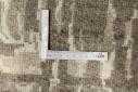 Erased Modern - 4