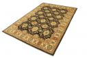Ziegler Farahan - 6