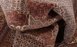 Tabriz Mahi Pirvasian - 10