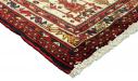Shiraz - 5