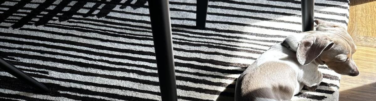 Detaljevisning af zebra-look Berber tæppe