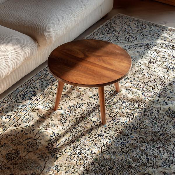 Tapis persan clair avec motif de médaillon floral dans le salon avec canapé et table en bois à la lu