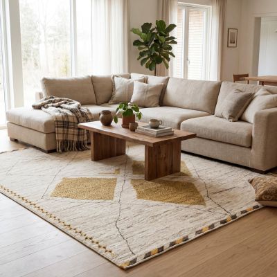 Minimalist living room with a light Oriental rug