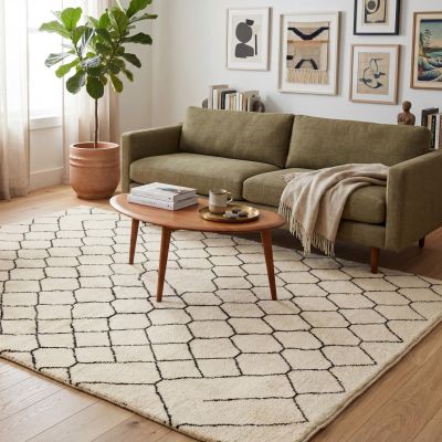 Tapis naturel dans le salon scandinave