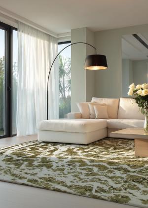 リビングの緑のヴィンテージカーペット