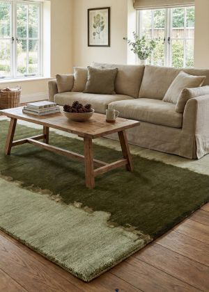 A green designer rug in a living room.