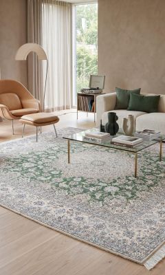 Classic Persian-style rug in an elegant living room with a traditional pattern